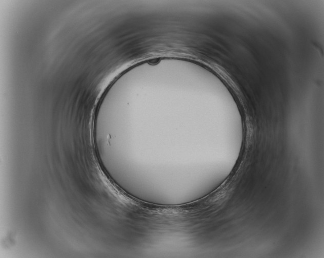 X0000103961246200809191327