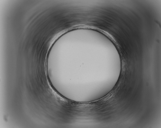 X0000103961247200809191327