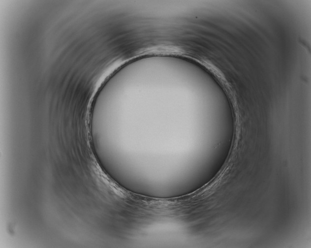 X0000103961248200809191327
