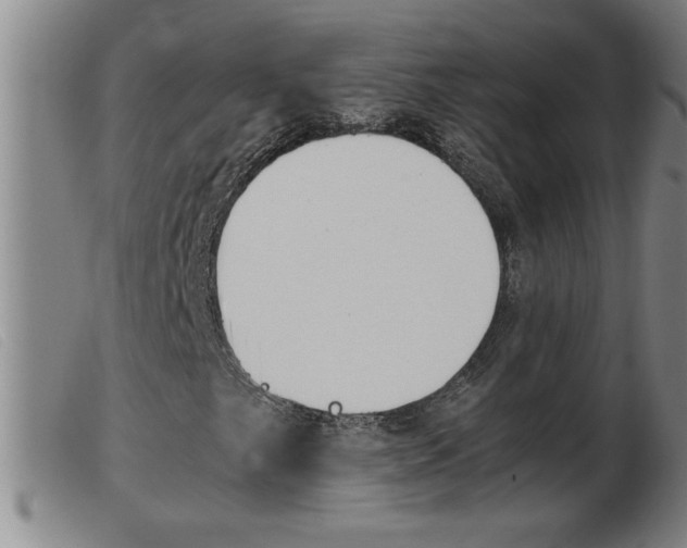 X0000103961249200809191326