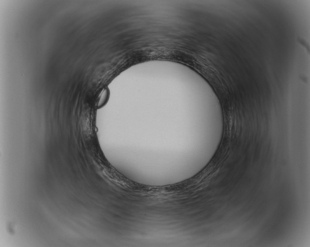 X0000103961250200809191326