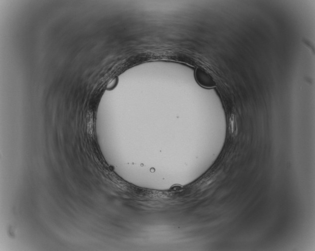 X0000103961251200809191326