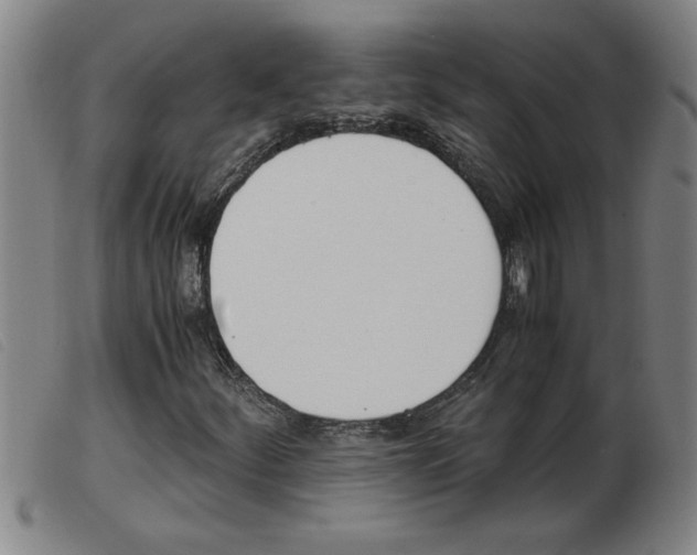X0000103961252200809191326