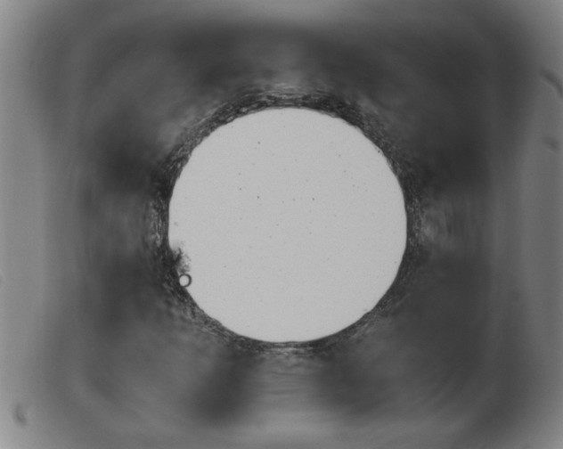 X0000103961253200809191326