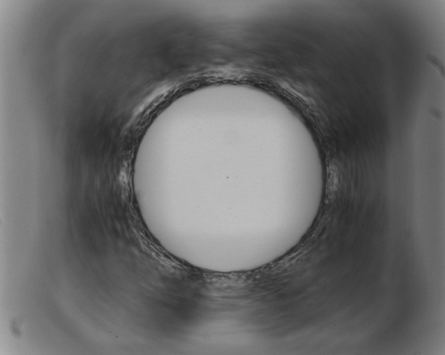 X0000103961254200809191326