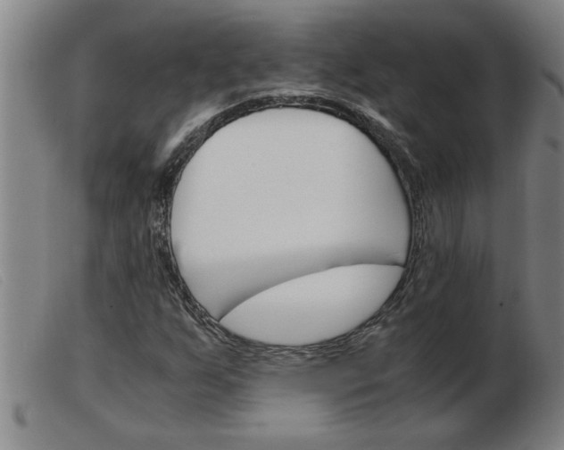 X0000103961255200809191326