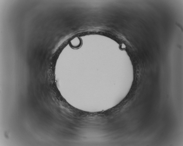 X0000103961256200809191326