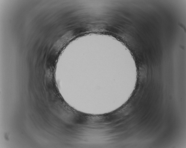X0000103961257200809191326