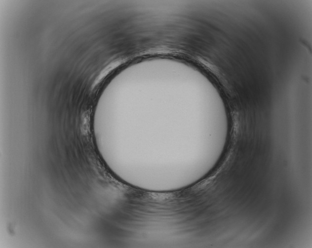 X0000103961258200809191326