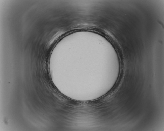 X0000103961259200809191326