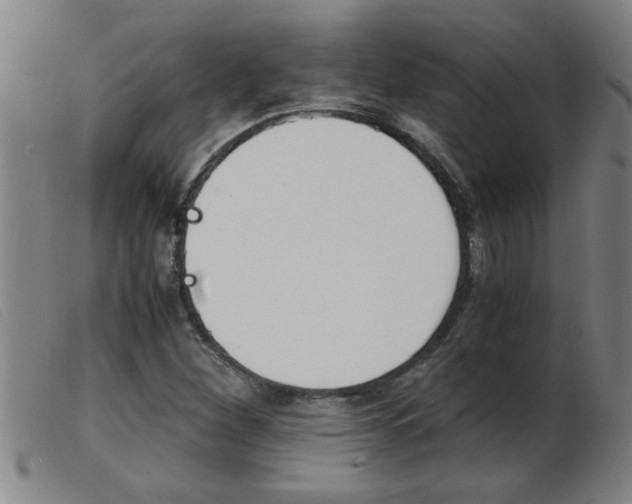 X0000103961260200809191326