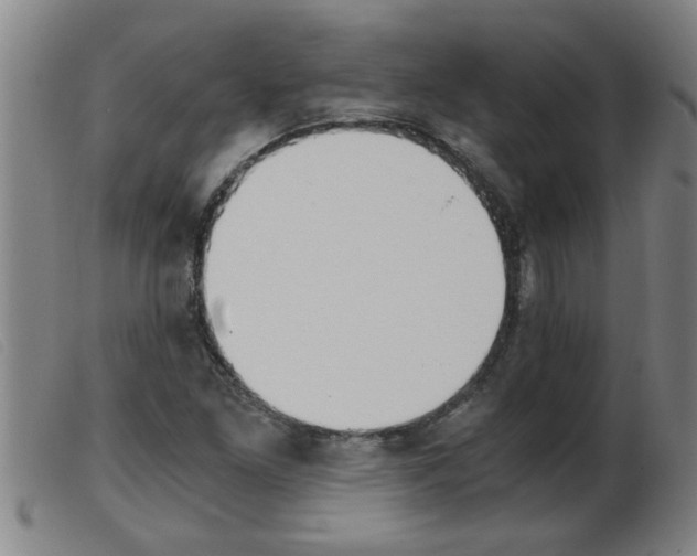 X0000103961261200809191326