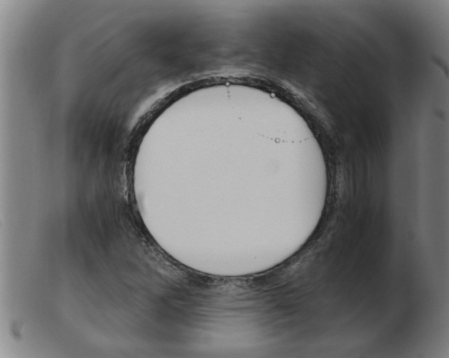 X0000103961262200809191326