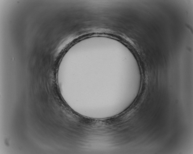 X0000103961263200809191326
