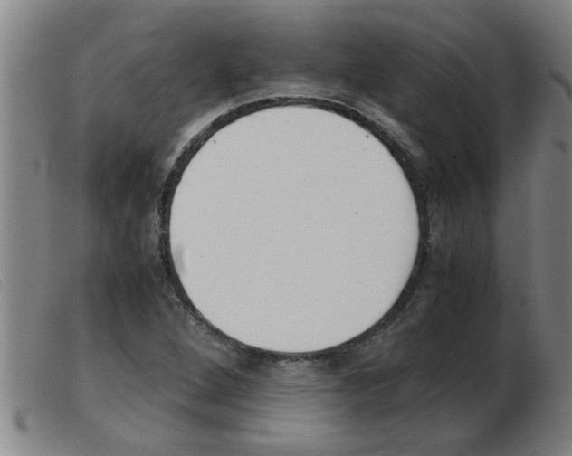X0000103961264200809191326