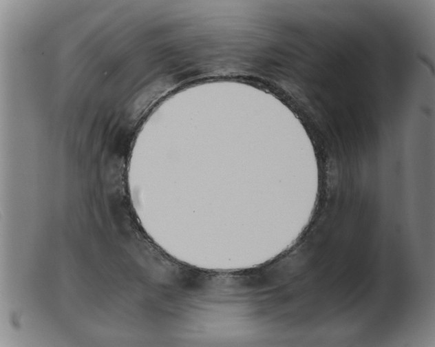 X0000103961265200809191326