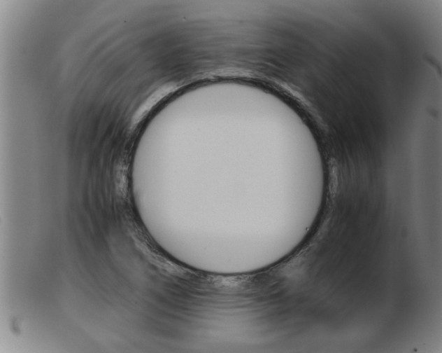 X0000103961266200809191326