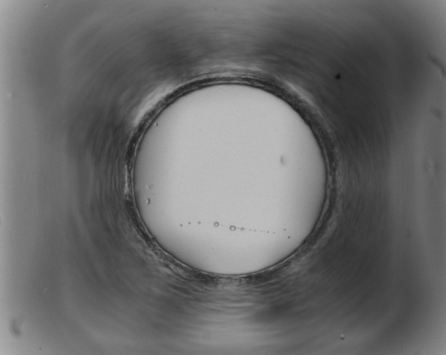 X0000103961267200809191326