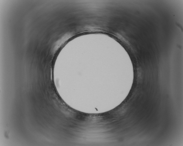 X0000103961269200809191326
