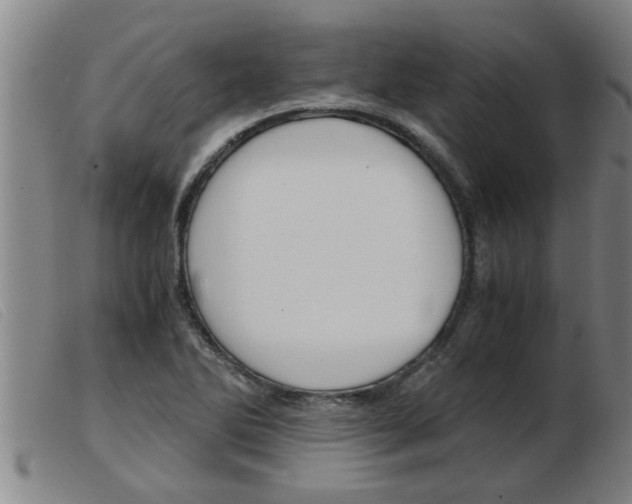 X0000103961270200809191326