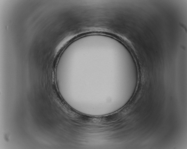 X0000103961271200809191326