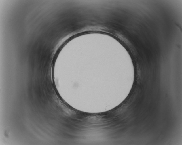 X0000103961272200809191326