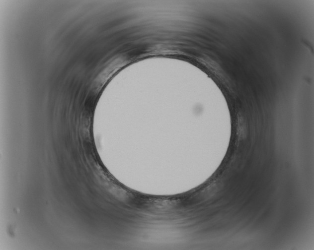 X0000103961273200809191326