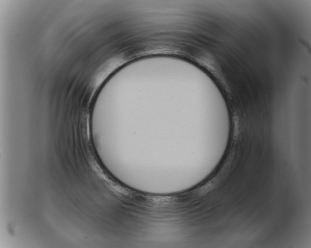 X0000103961274200809191326