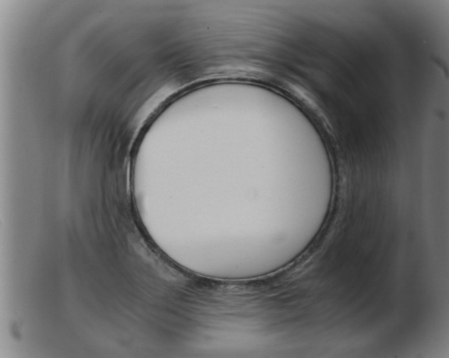 X0000103961275200809191326