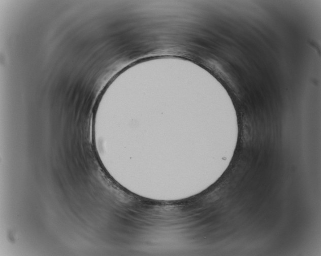 X0000103961276200809191326