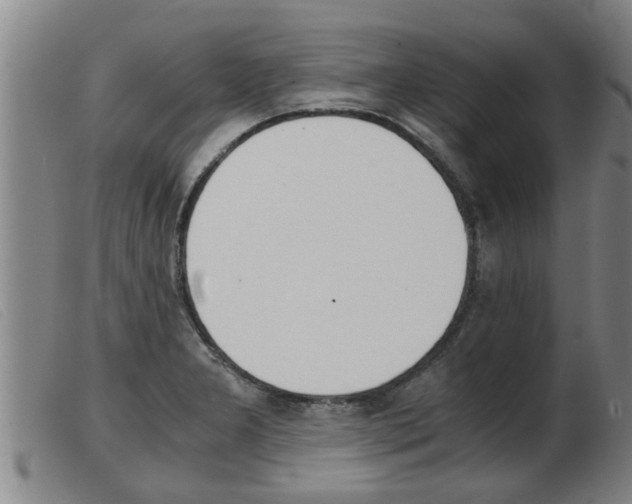 X0000103961277200809191326