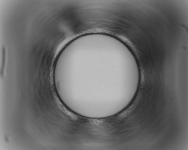 X0000103961278200809191326