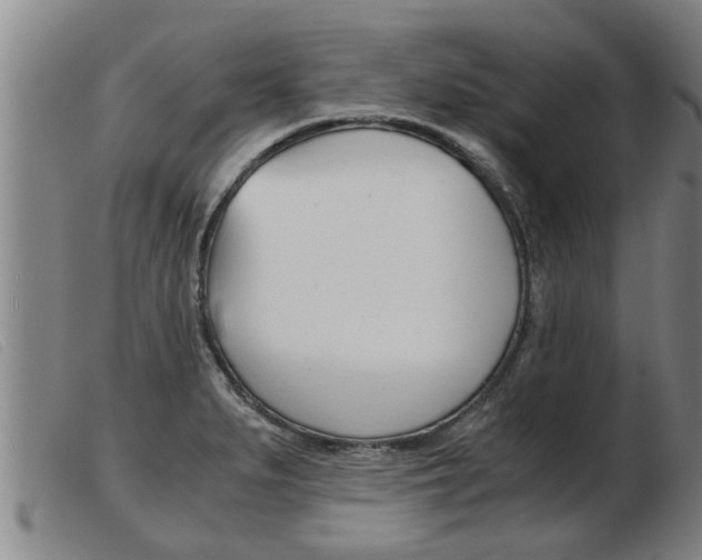 X0000103961279200809191326
