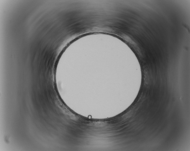X0000103961280200809191326