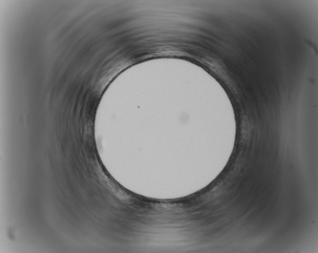 X0000103961281200809191326