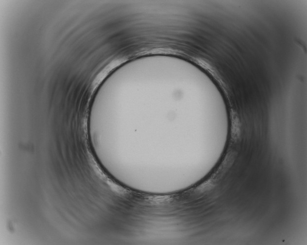 X0000103961282200809191326