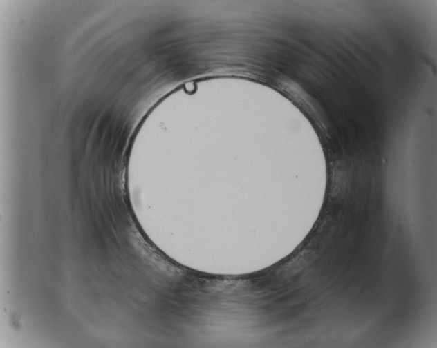 X0000103961284200809191326