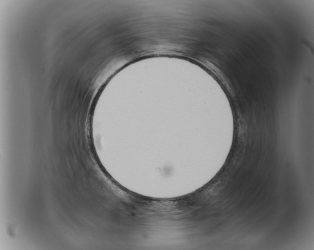 X0000103961285200809191326