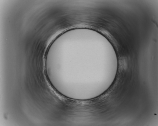 X0000103961286200809191326