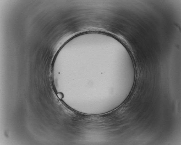 X0000103961287200809191326