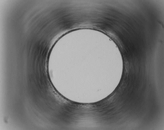 X0000103961288200809191326