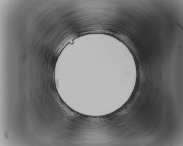 X0000103961289200809191326