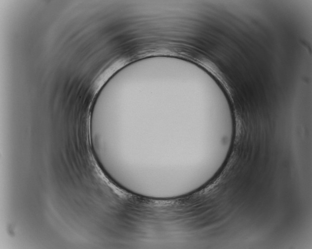X0000103961290200809191326