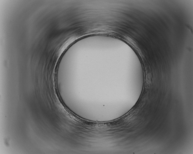 X0000103961291200809191326