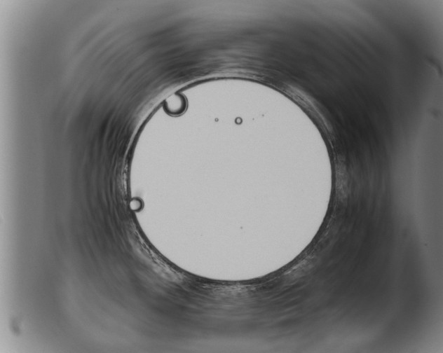 X0000103961292200809191326