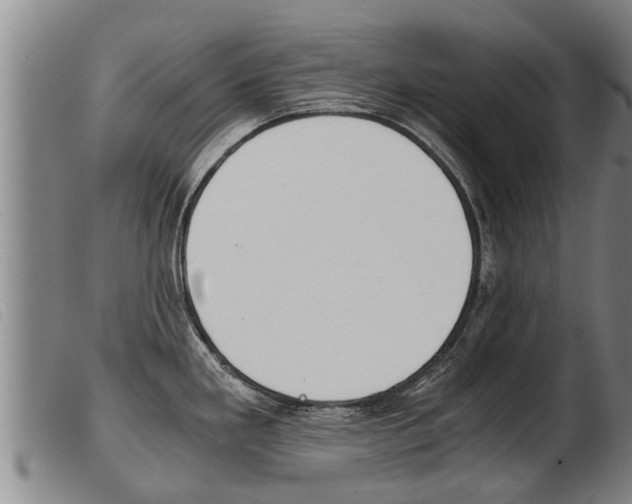 X0000103961293200809191326