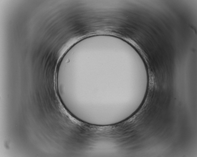X0000103961294200809191326