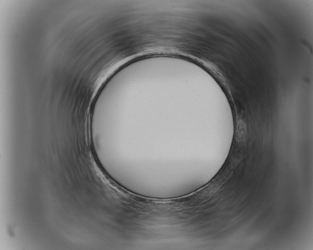 X0000103961295200809191326