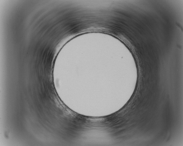 X0000103961296200809191326