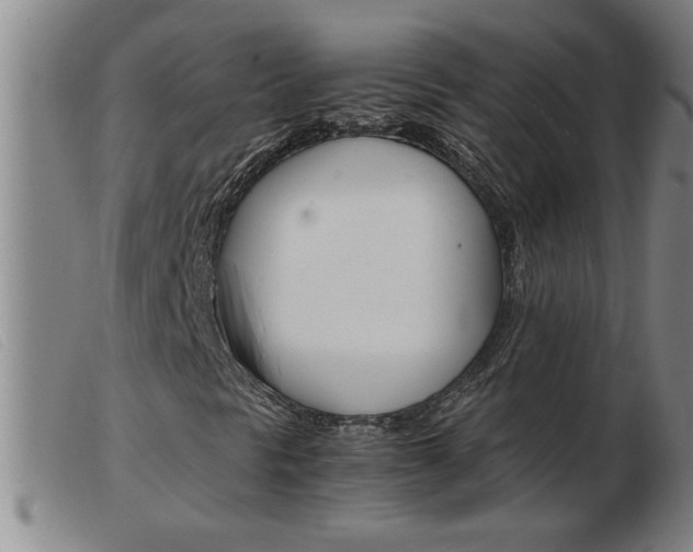 X0000103961297200809191325